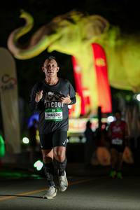 BIB: 
                            <button type="button" onclick="openModal(26533424)" class="btn btn-primary btn-sm float-right btn-popup" data-toggle="modal" data-target=".modal-high-quality">
                        <i class="fas fa-shopping-cart"></i> Add to Cart
                    </button>
                                            <button type="button" onclick="isThisMe(26533424, true)" class="btn btn-success btn-sm float-right btn-popup btn-isme hidden" data-toggle="tooltip" data-placement="bottom" title="นี่คือรูปของคุณใช่ไหม คลิกที่นี่เพื่อเอาเข้าอัลบั้ม">
                        <i class="fas fa-plus"></i> Add to album
                    </button>
                    <button type="button" onclick="isThisMe(26533424, false)" class="btn btn-warning btn-sm float-right btn-popup btn-isnotme hidden">
                        <i class="fas fa-ban"></i> Remove from album
                    </button>